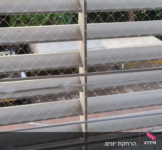 רשת מתכת על חלון למניעת כניסת יונים